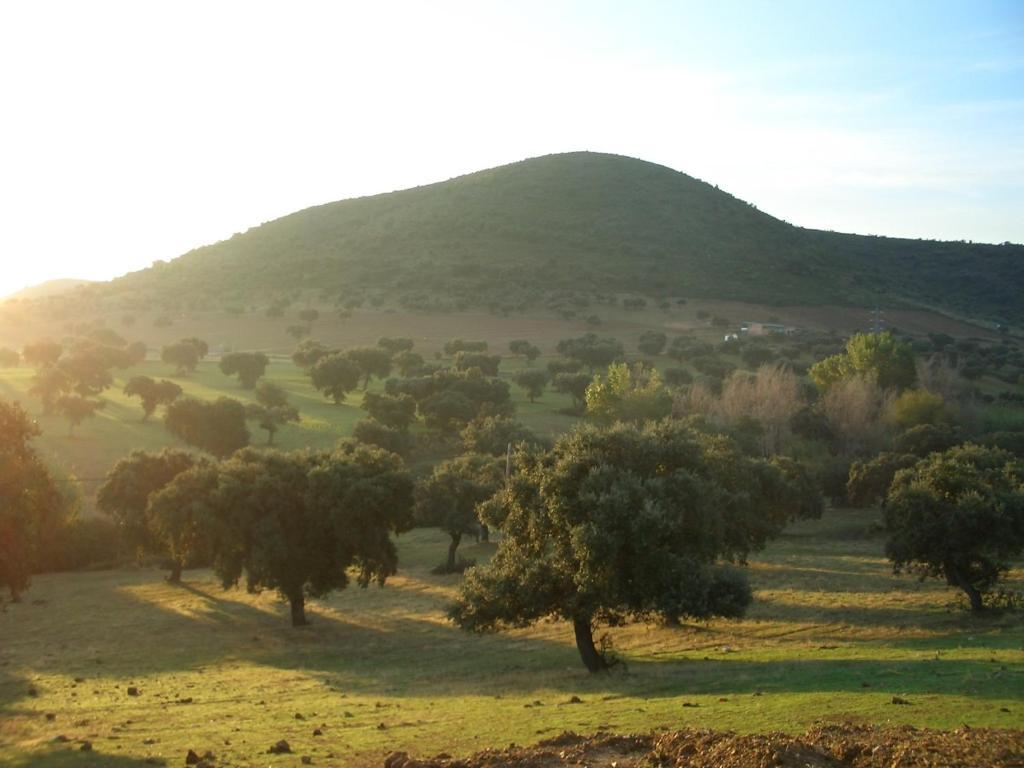 Cortijo El Criadero Country house