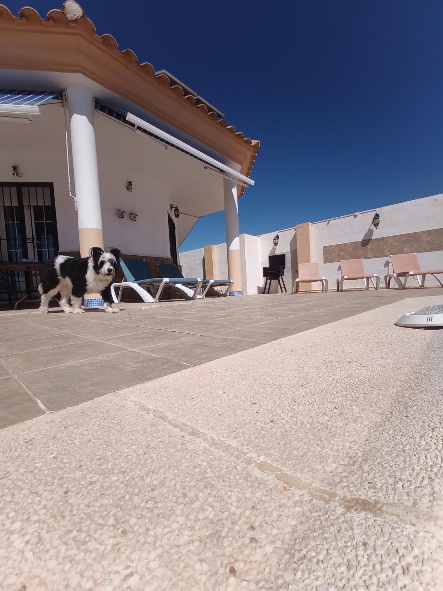 Bonita Casita Luz Del Sol * Arboleas