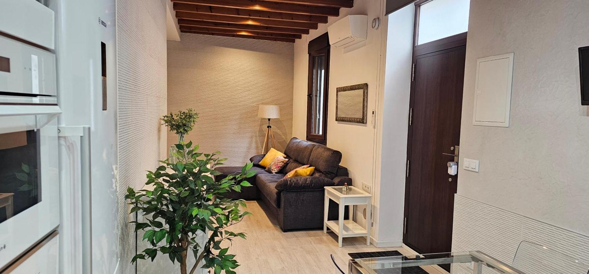 Lujoso En La Alameda Apartment