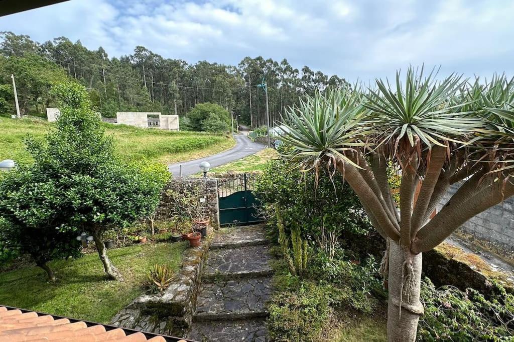 Casa Crisa Villa Marín
