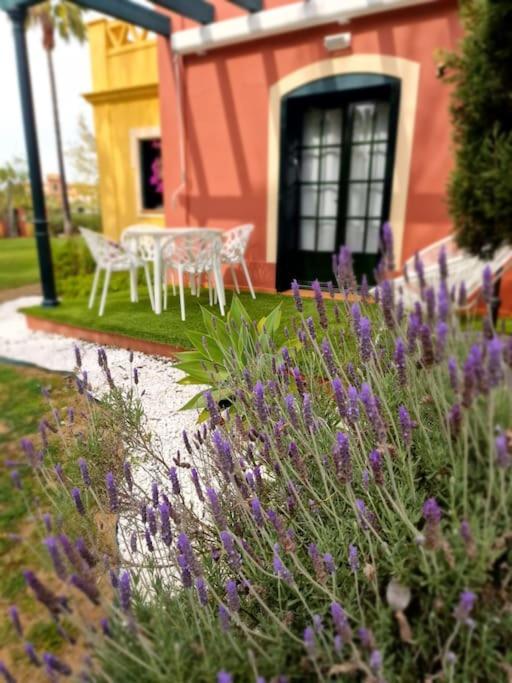Golf Y Playa Hoyo I Apartamento