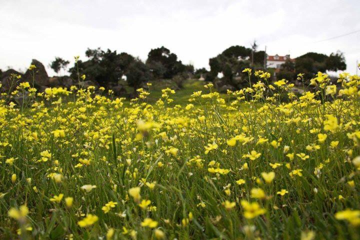 Сasa de vacaciones El Nido De Las Mariposas