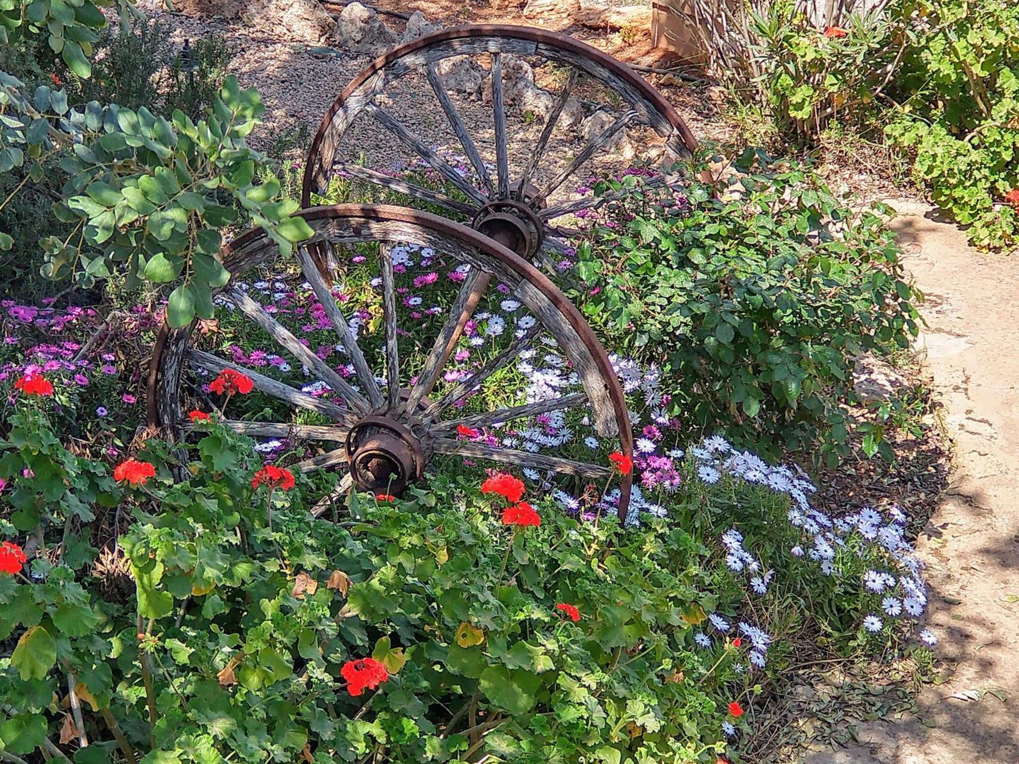 Farm stay Son Marimon (adults Only) *
