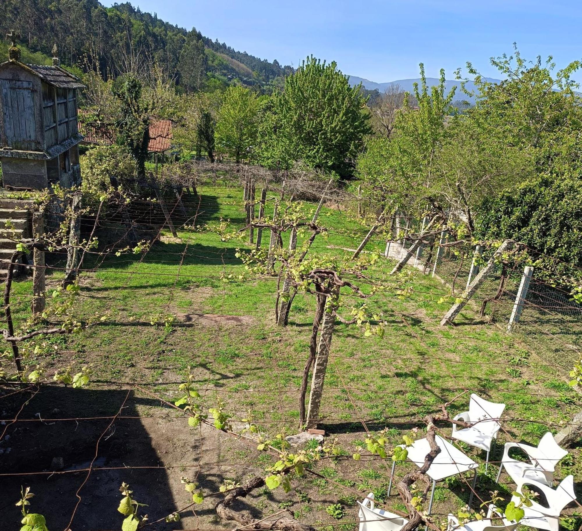 Rural Peregrinos 