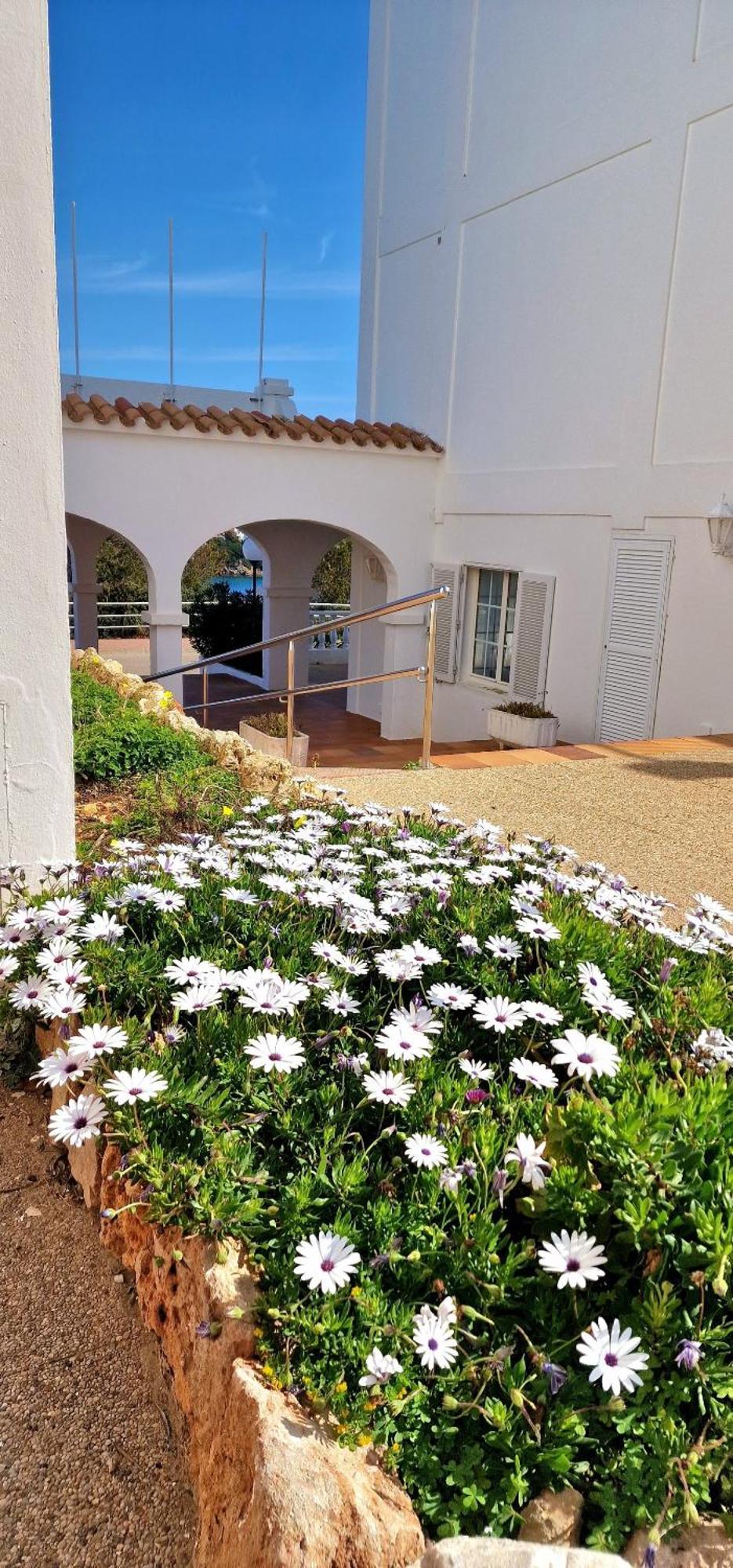Apartamento Apartamento Castellsol 105. *