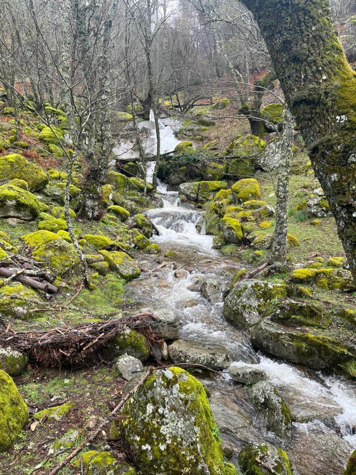 El Secreto Del Arroyo Avila