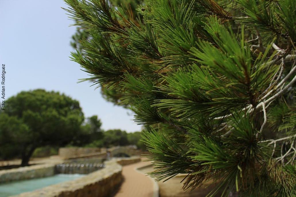 паркемар Apartamento Torrevieja