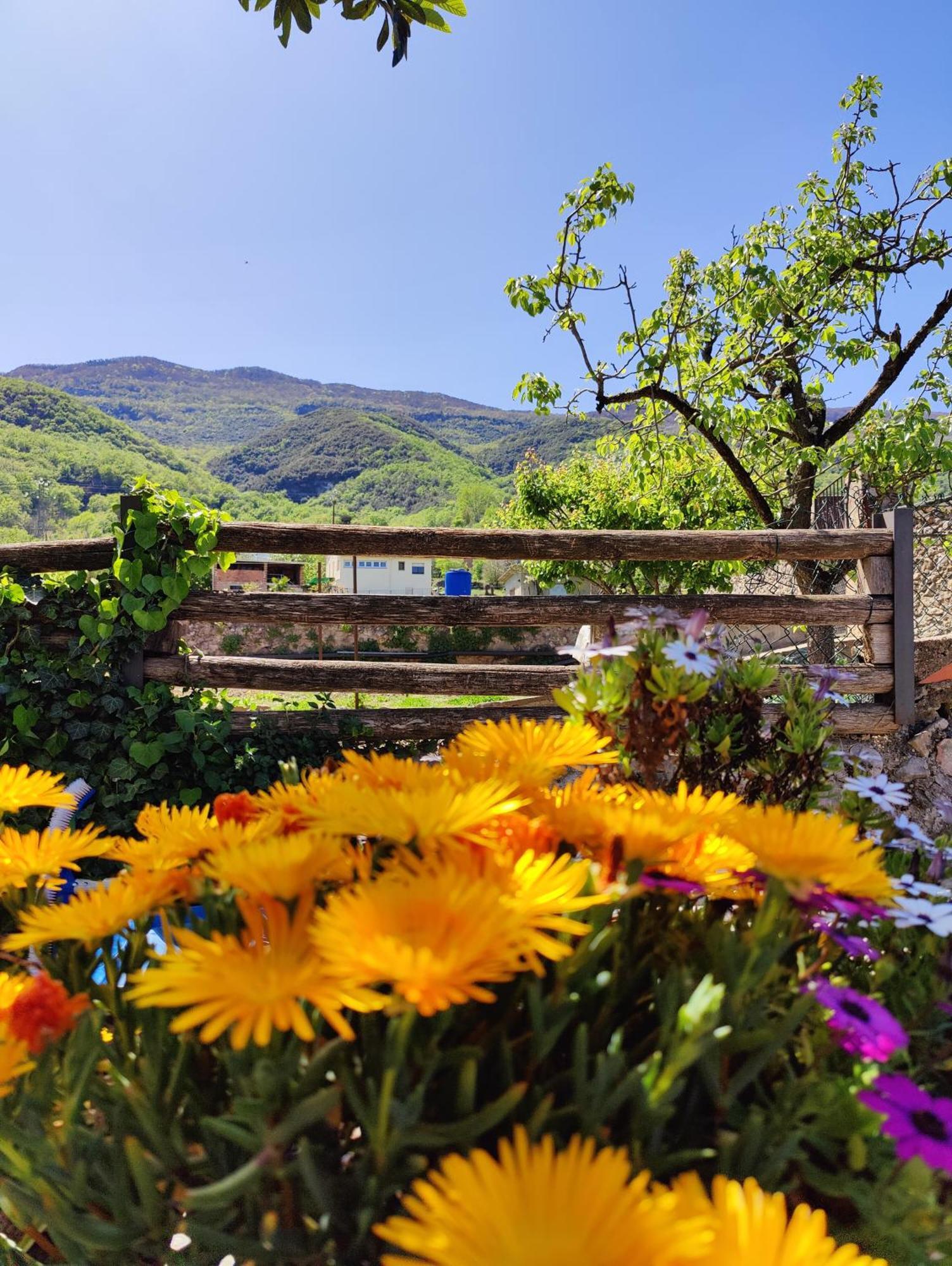 Holiday home Cal Gat *