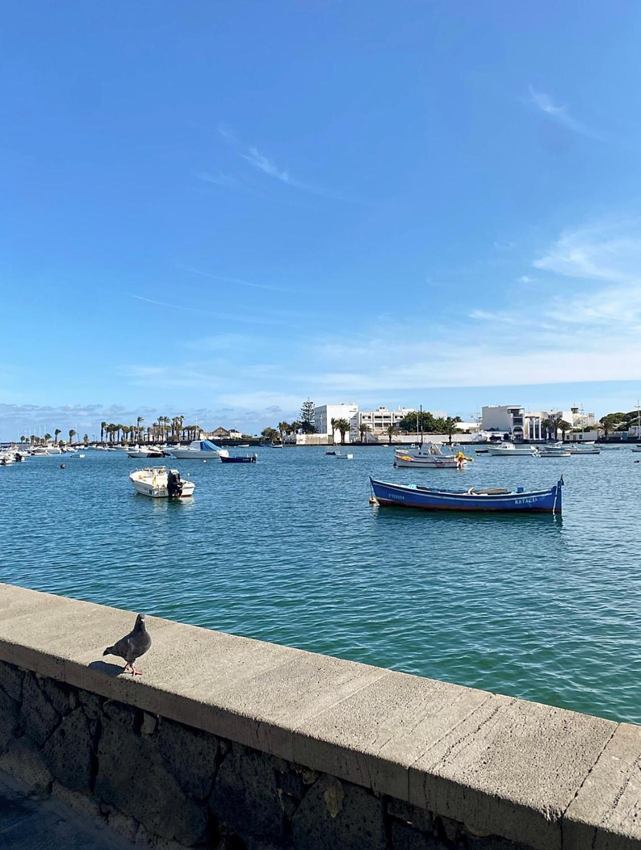 Camino Del Charco