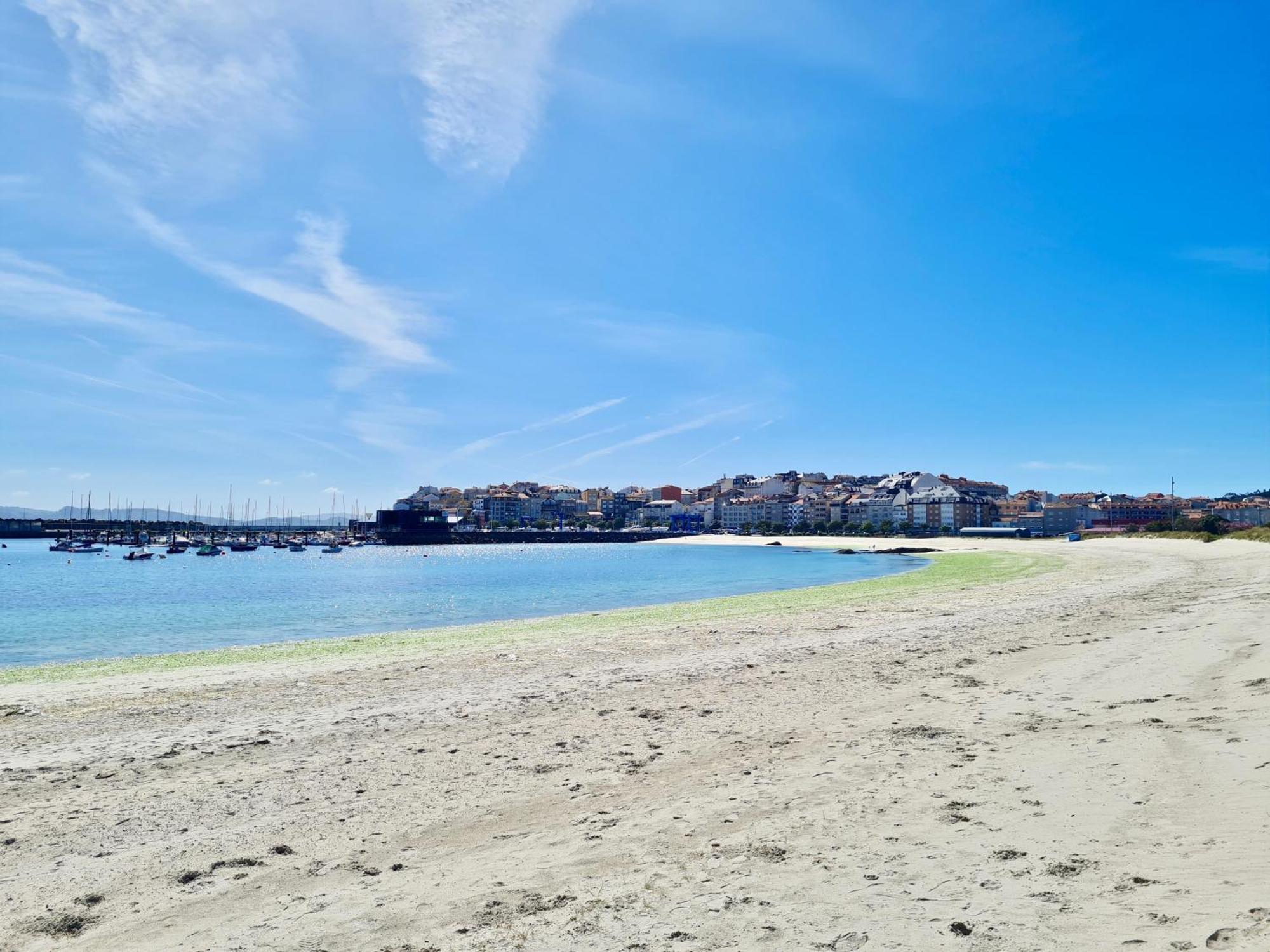 Apartamento Apartamento En La Playa! *
