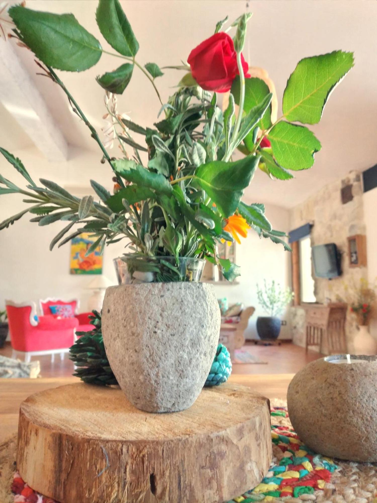 Holiday home Loft Carriones *