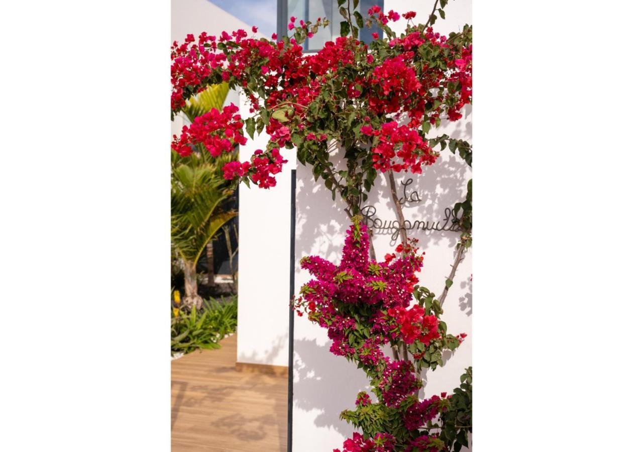 Casa Bouganvillea * Lajares