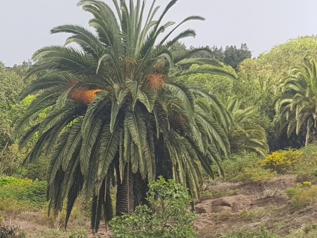 Сasa de vacaciones La Gomera