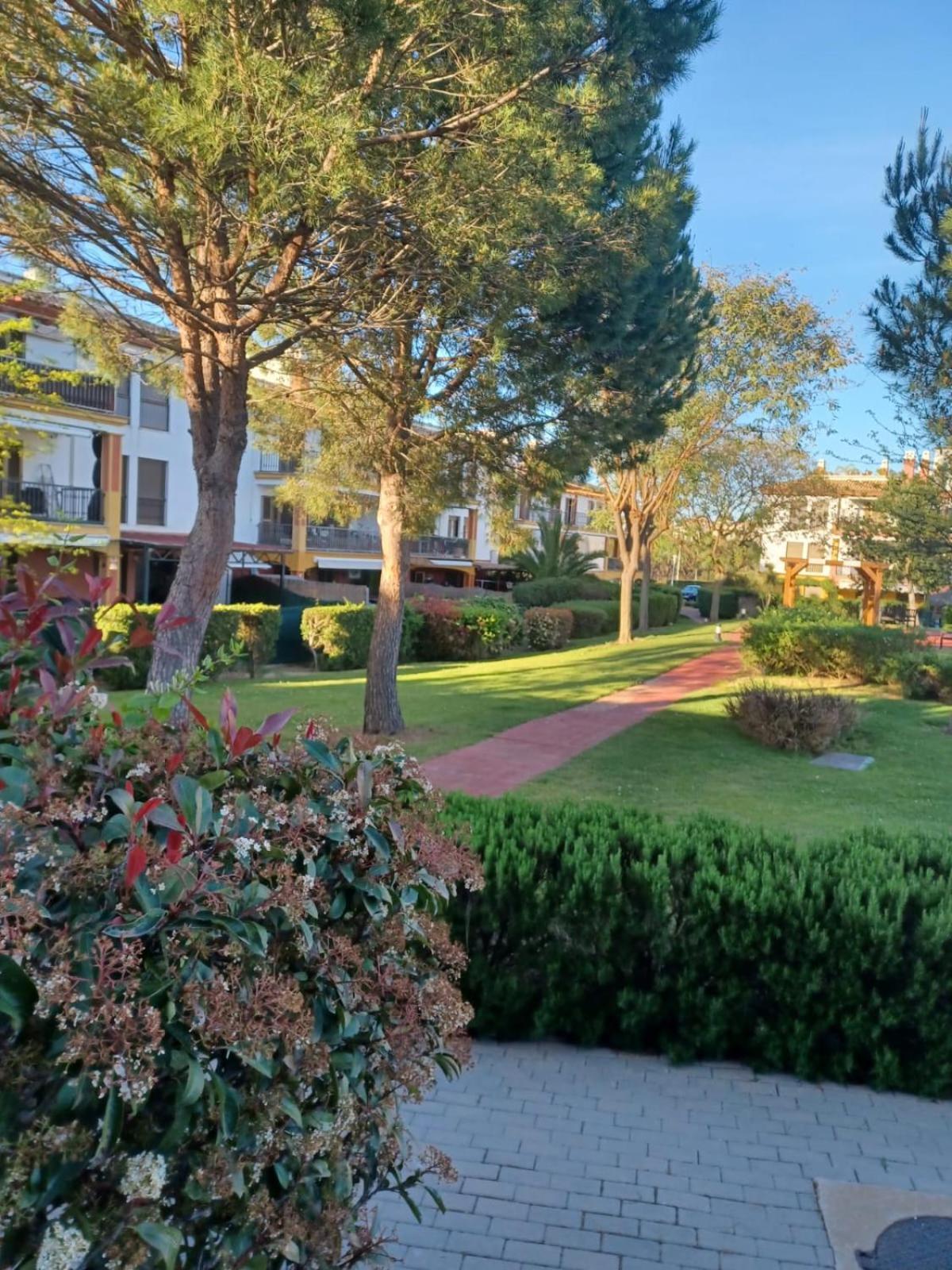 Relax Aparment Costa Esuri *