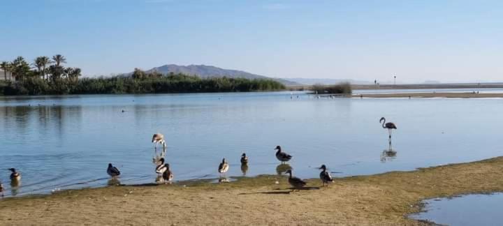 Natura Sara Apartamento Vera