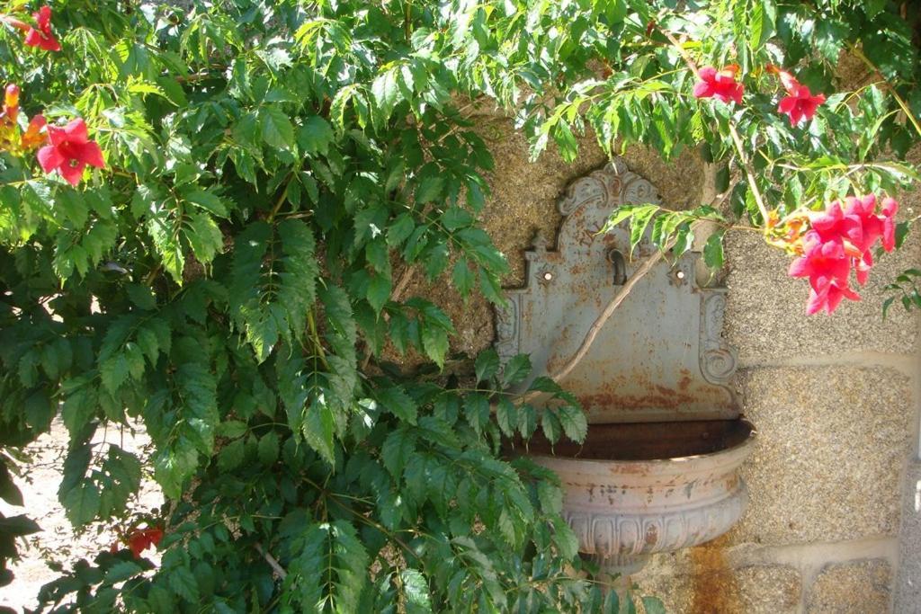 Villa Finca A Coutada. *