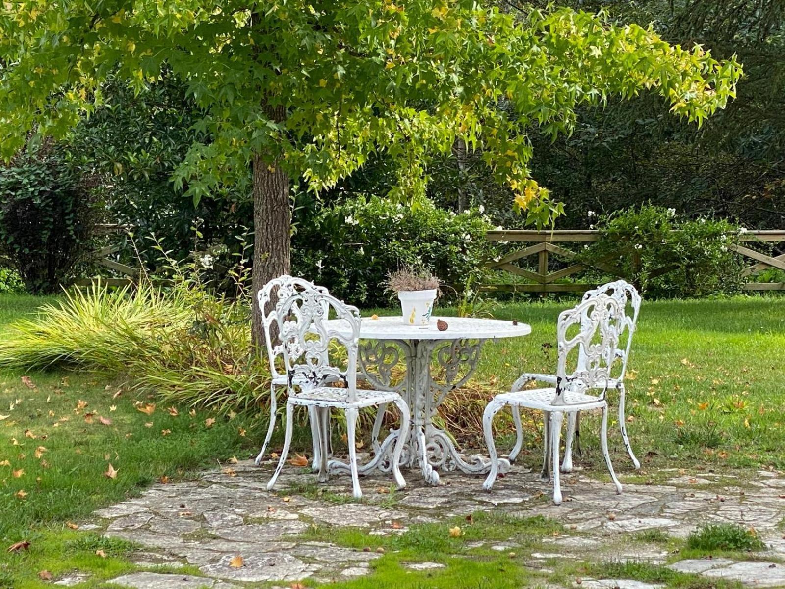 Villa Finca A Coutada. Celanova