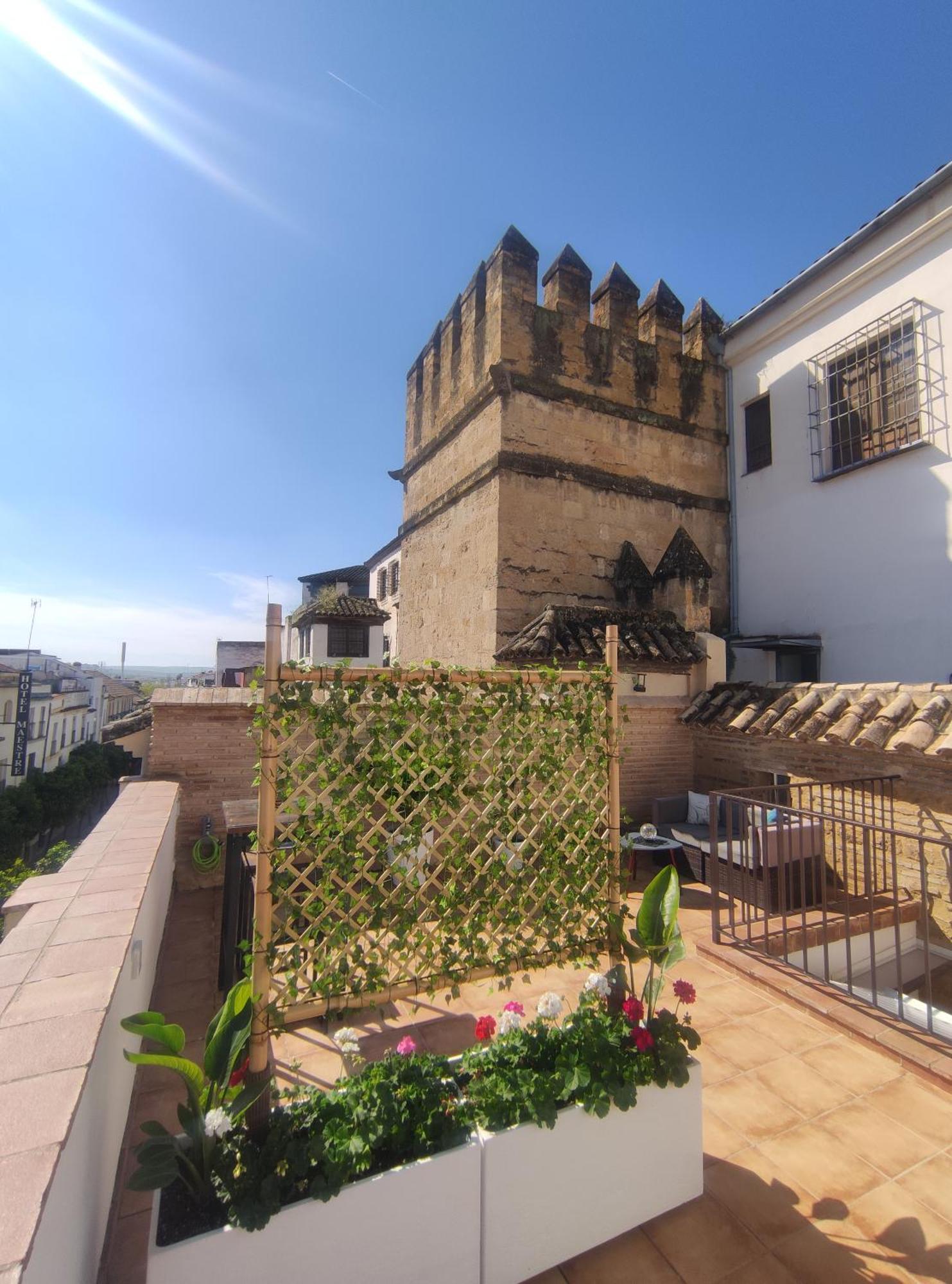 La Muralla De San Fernando De Apartamento