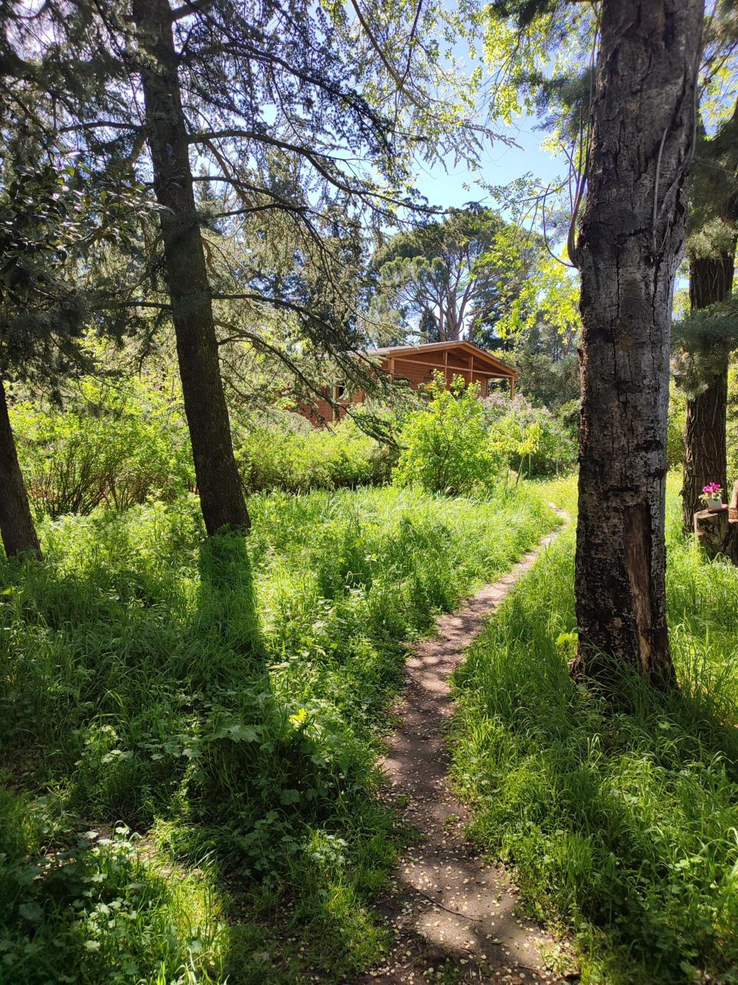 Preciosa Con Piscina Y Barbacoa * Guadarrama