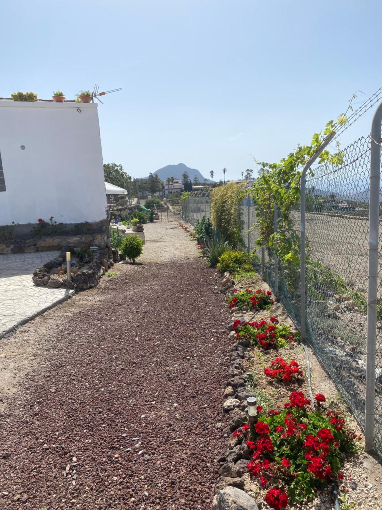 El Pasil 2 * Arona (Tenerife)