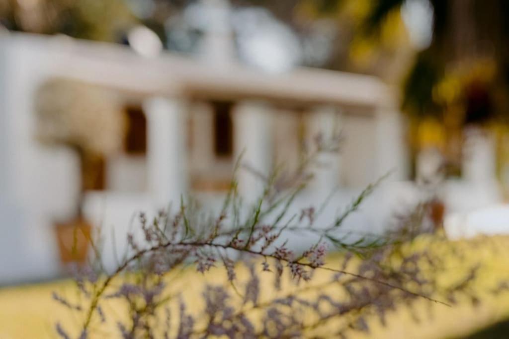 Roca - Modern & Stylish Sant Ferran de Ses Roques