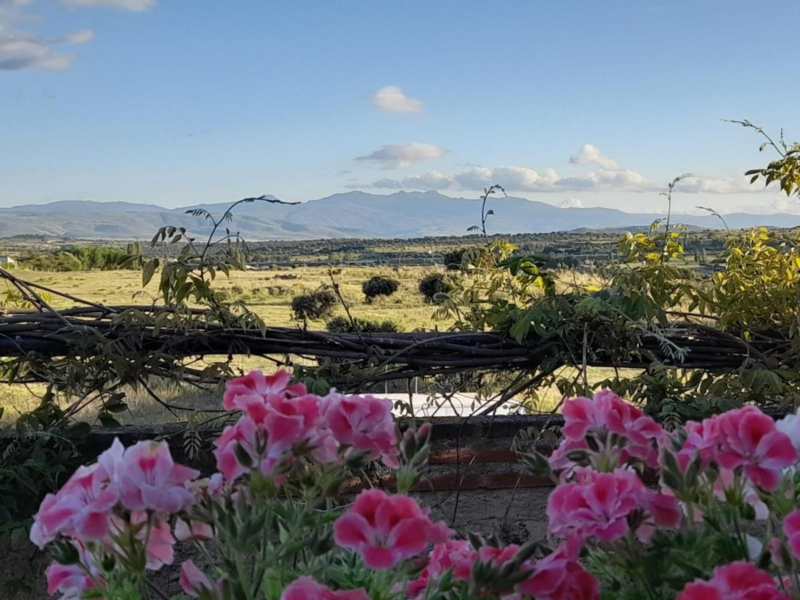 Casa De Lavandas, Holiday home Avila