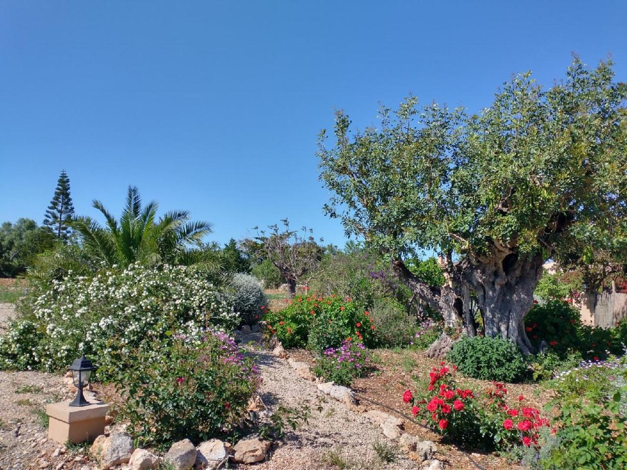Farm stay Son Marimon (adults Only) *