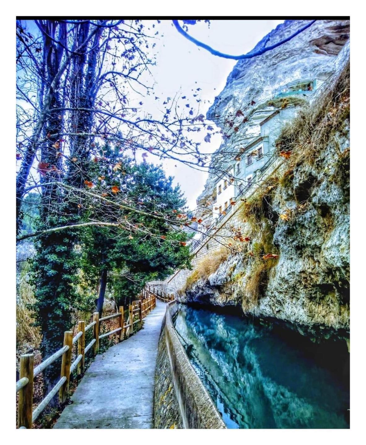 El Abejorro *