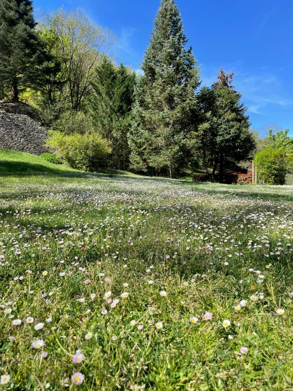 Torrotes La Vall de Bianya
