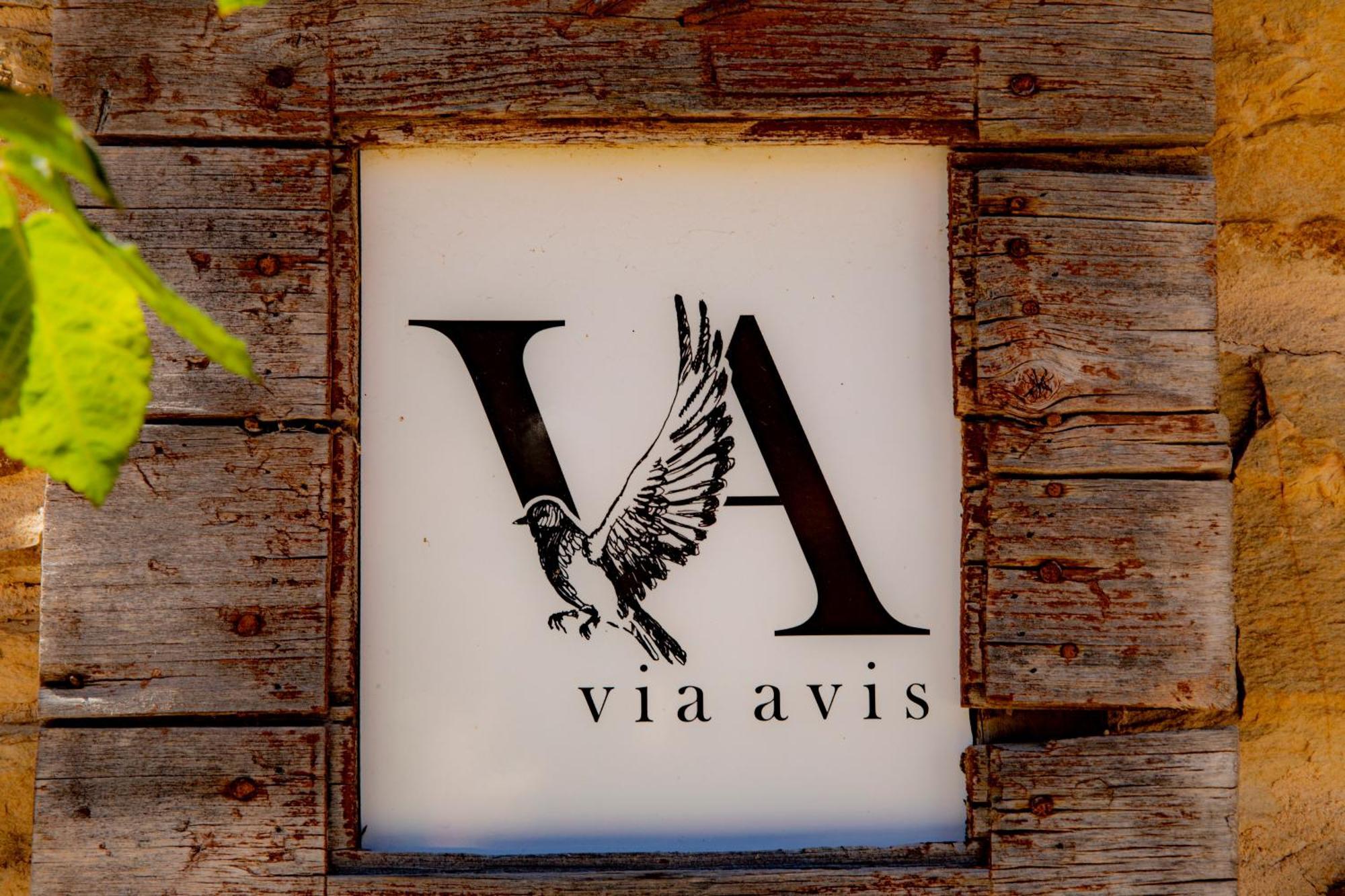 Via Avis * Santa Catalina de Somoza
