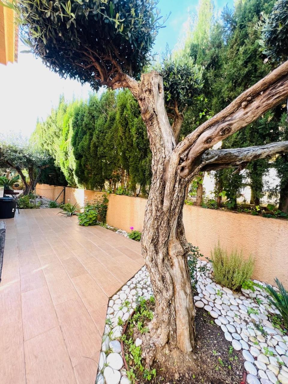Chalet Boutique Estibaliz Holiday home Peniscola