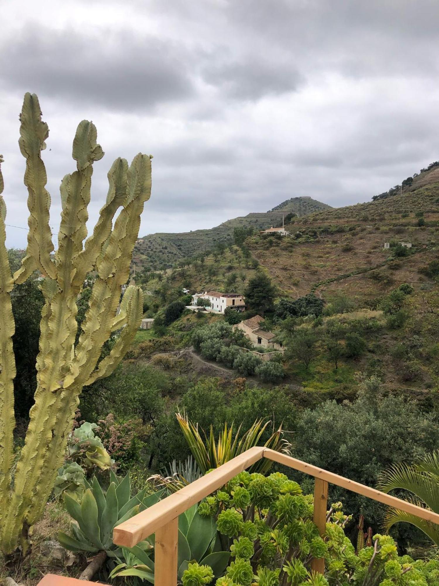 Holiday home Cortijo El Abejaruco *