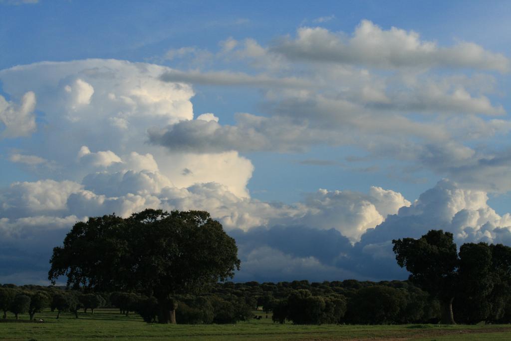 Casa Rural Puente Mocho