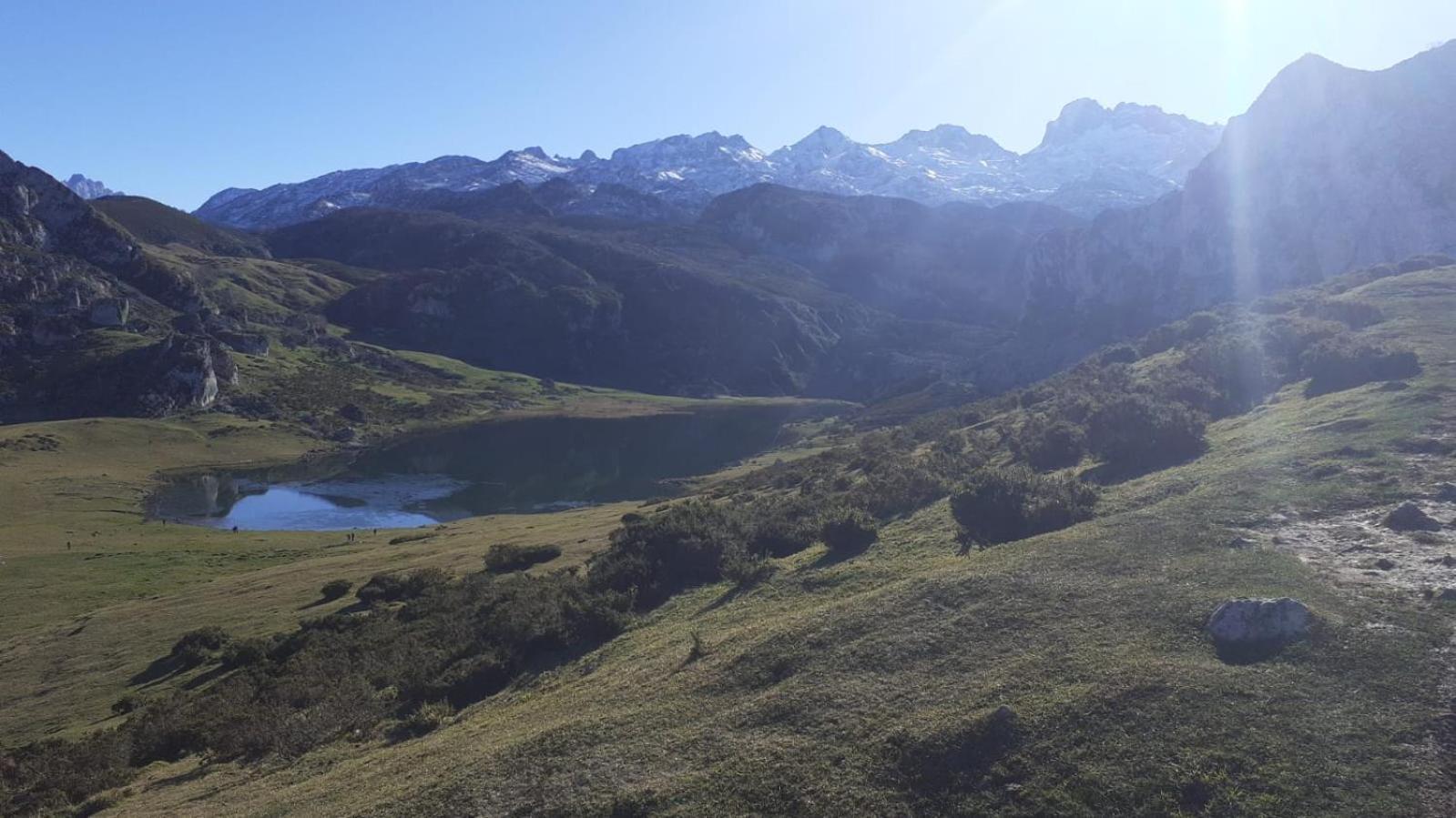La Nueva Covadonguina *
