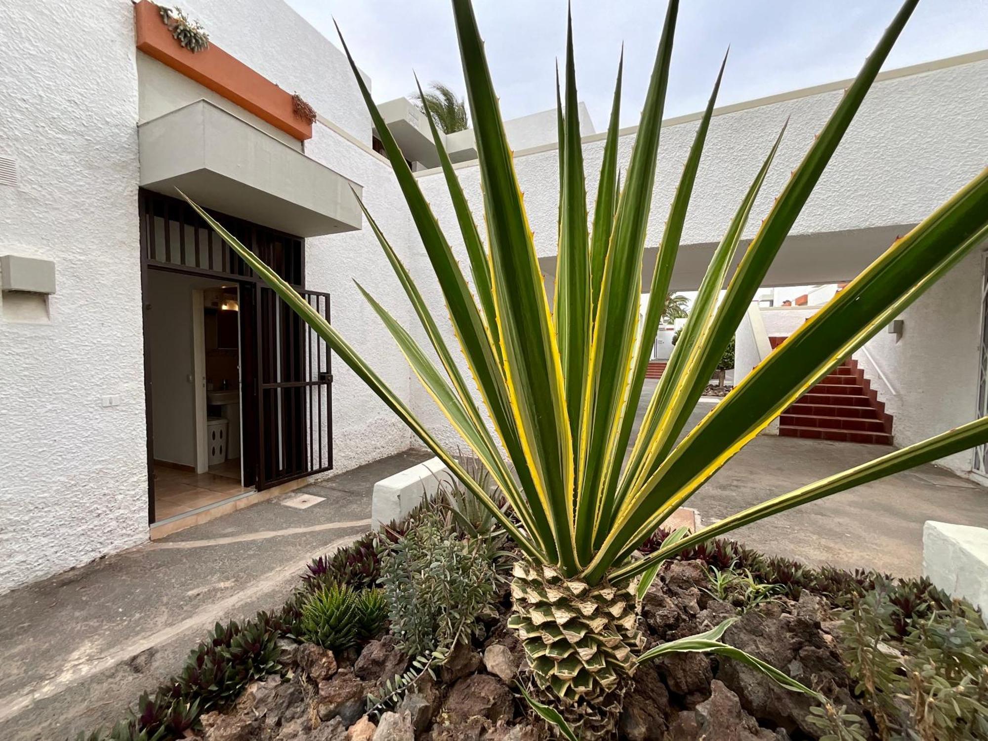 Primavera Apartment *