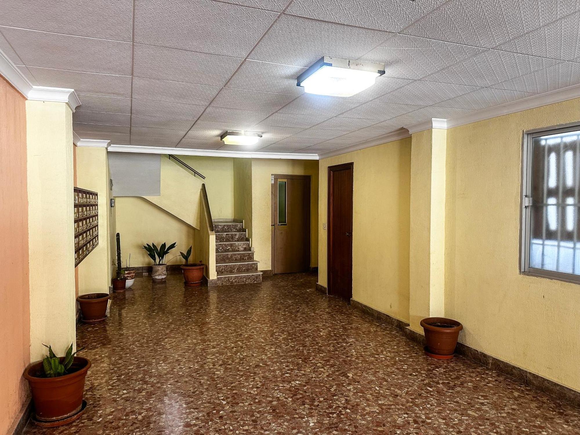 Palmas * La Mata (Torrevieja)
