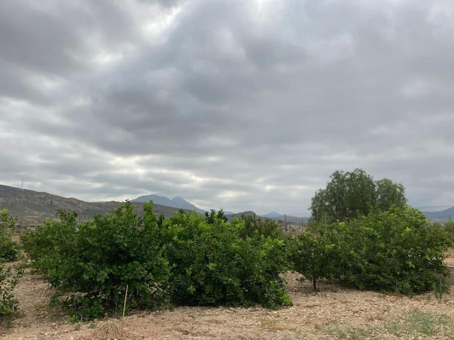 Сasa de vacaciones Casita Abanilla
