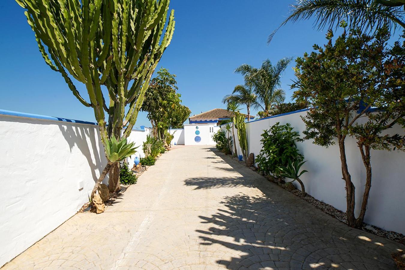 Yuca Con Piscina Privada En Сasa de vacaciones Conil De La Frontera