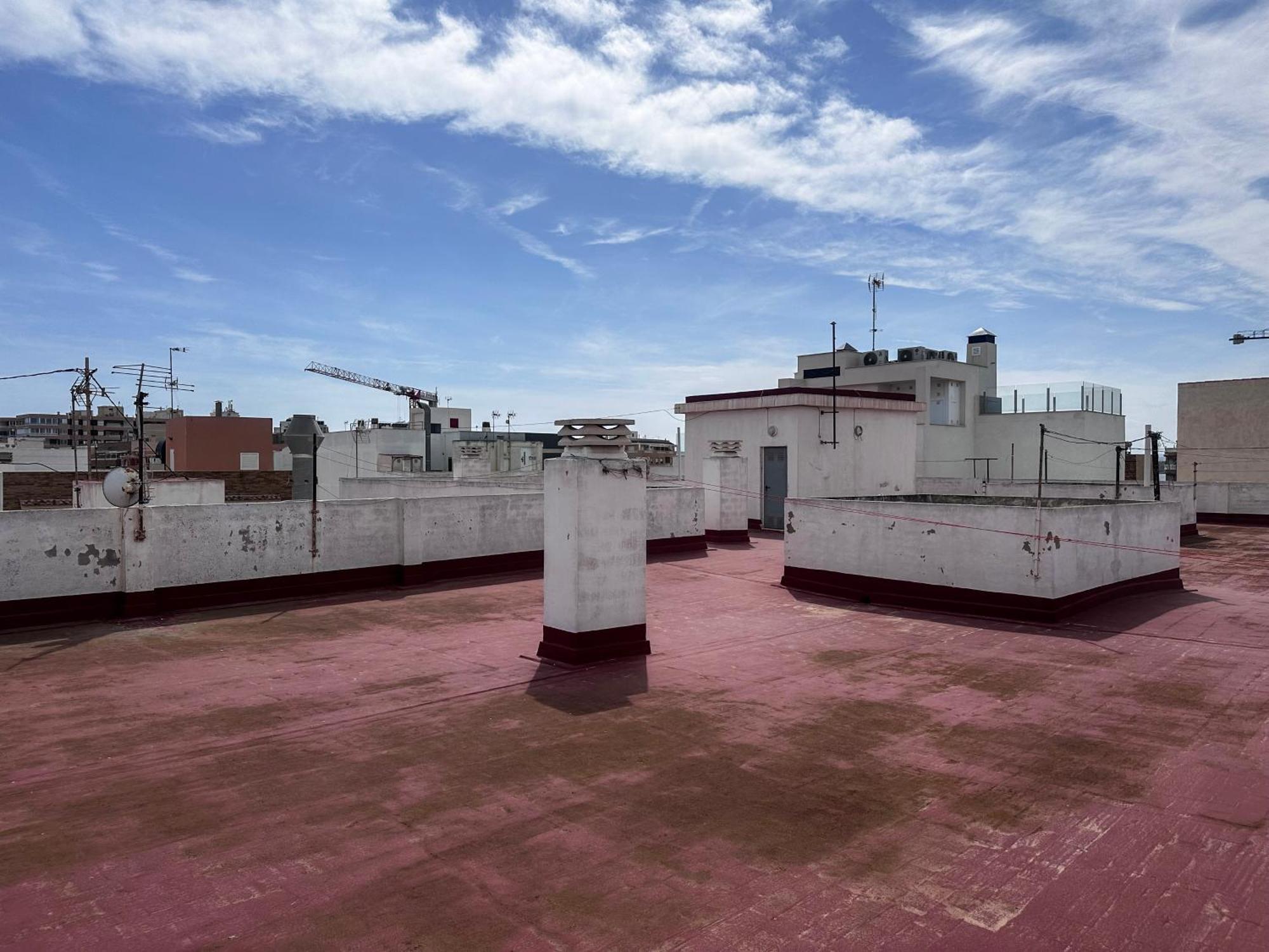 Palmas