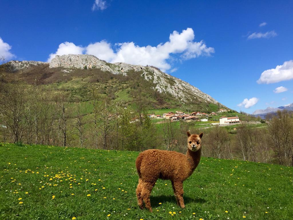 Prieto * Cortes (Asturias)