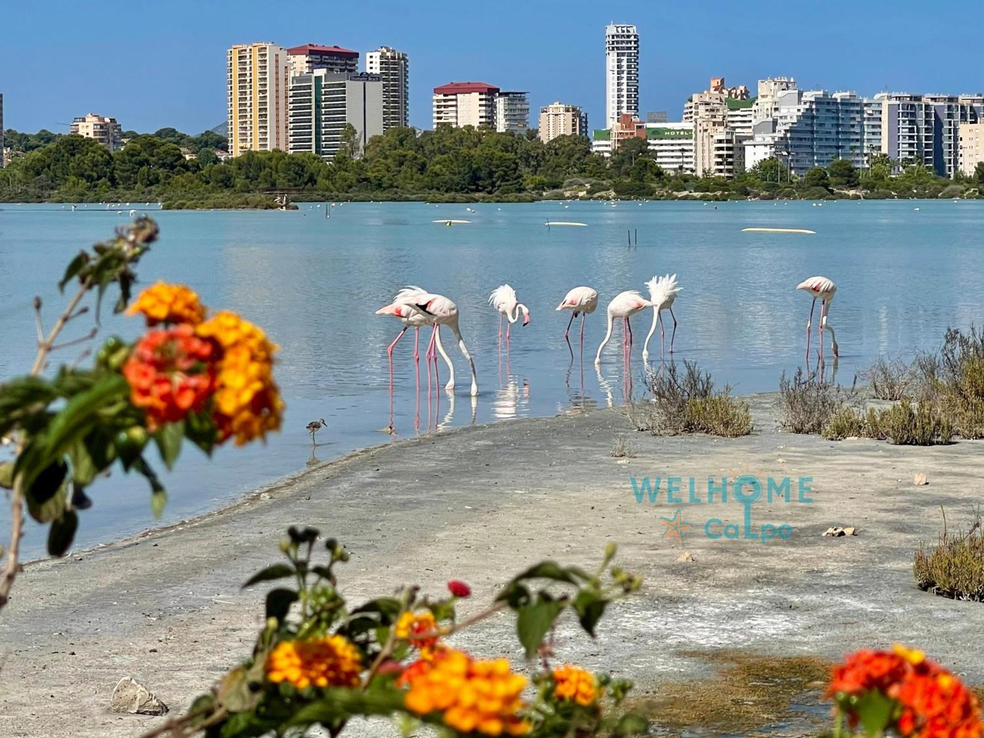 Orquidea Comodo Apartamento: Vista Al Mar, Piscina, Parking Apartamento