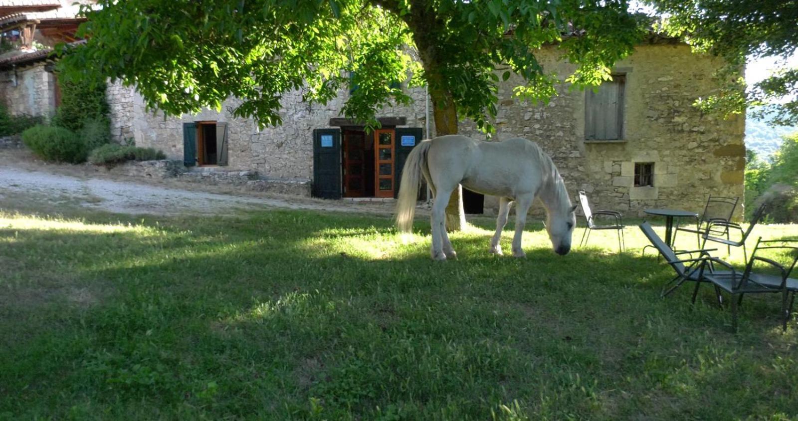 Casaturzo
