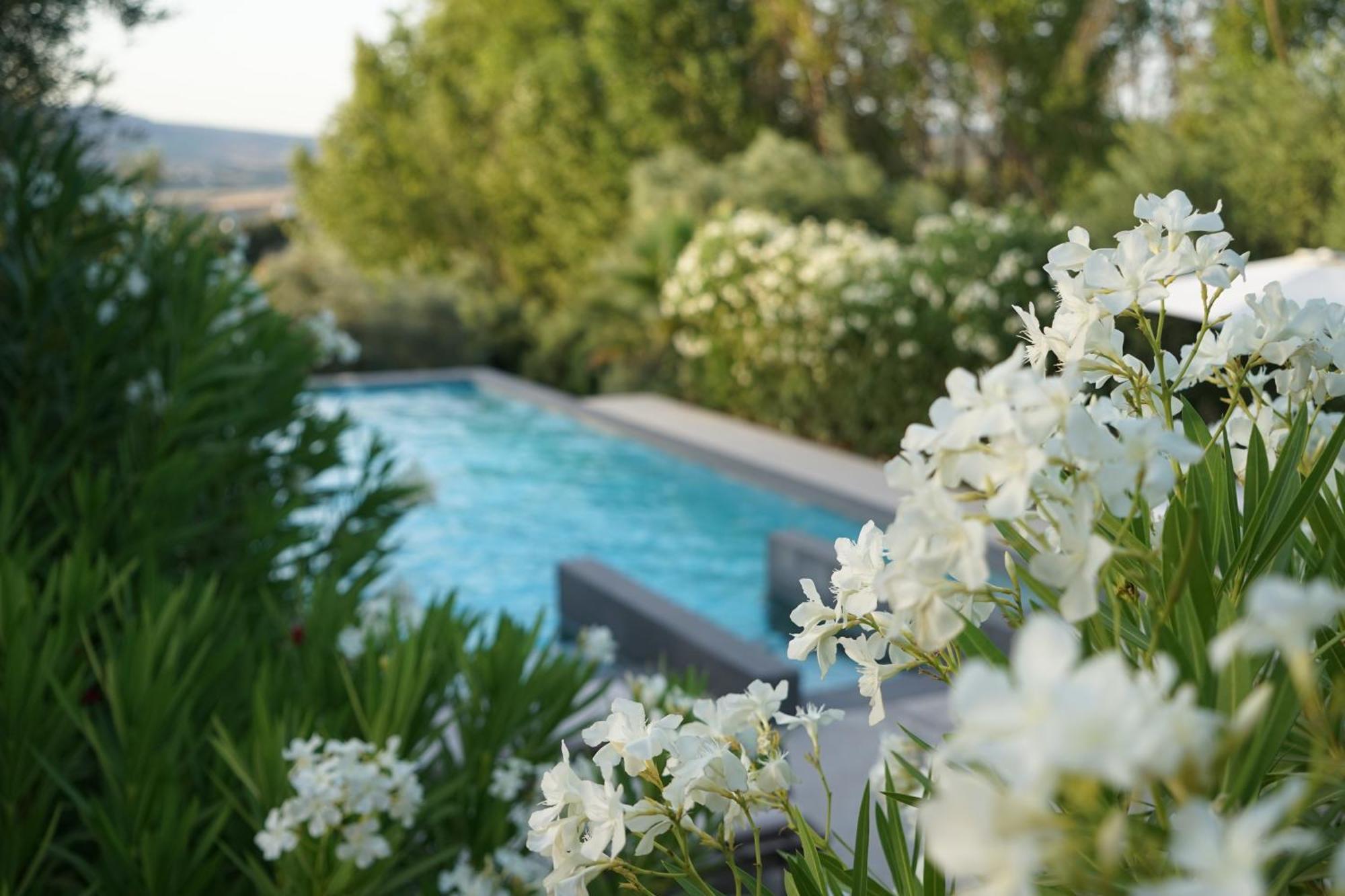 El Toro Blanco Luxury In Andalucia