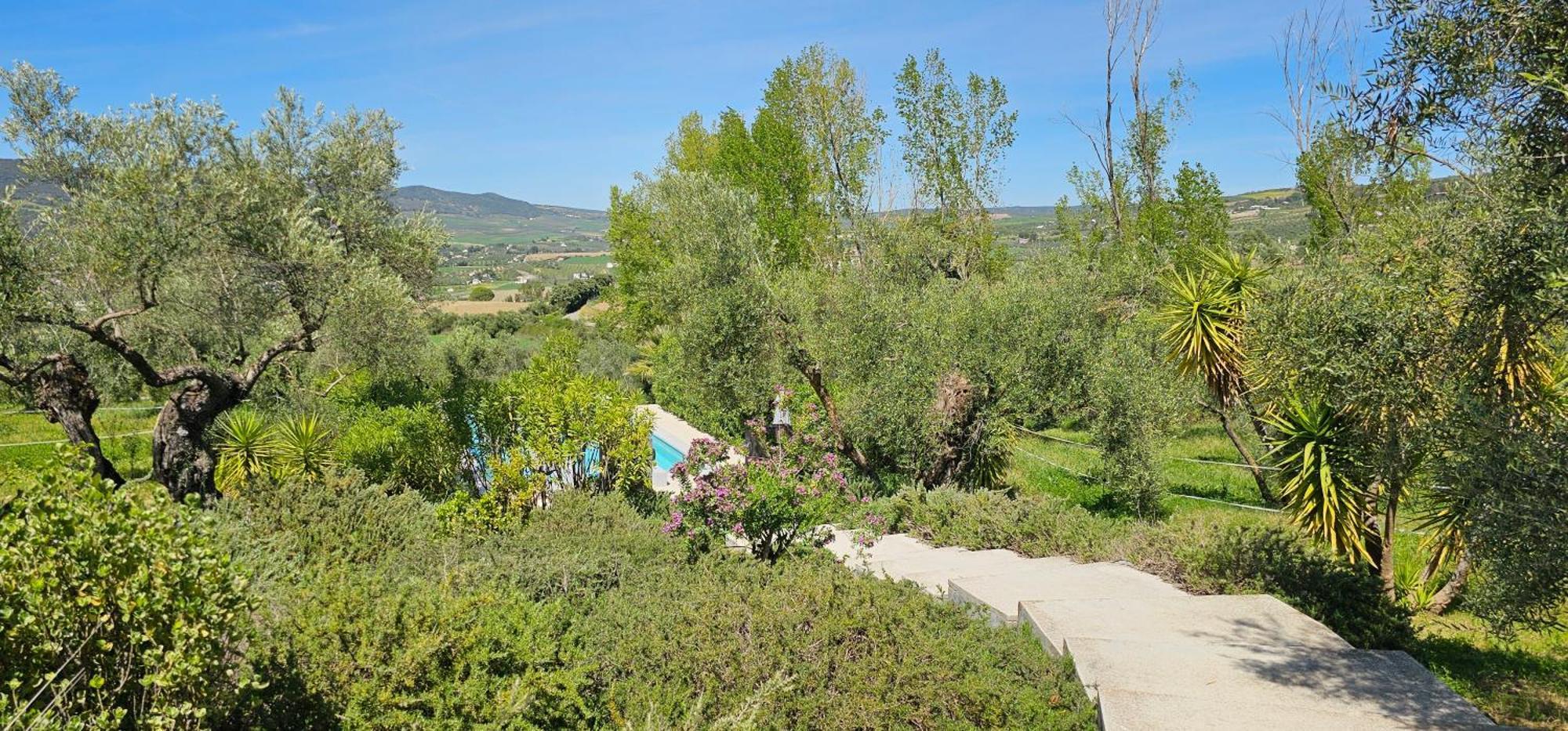 Villa El Toro Blanco Luxury In Andalucia