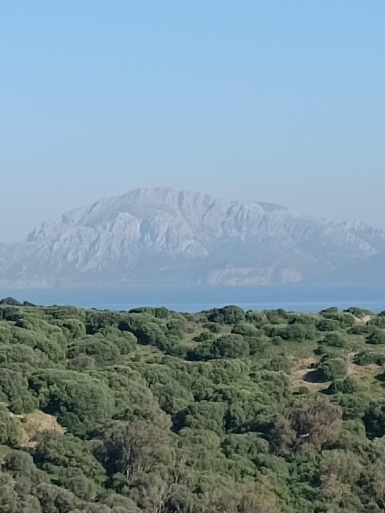 La Ballenita De Tarifa