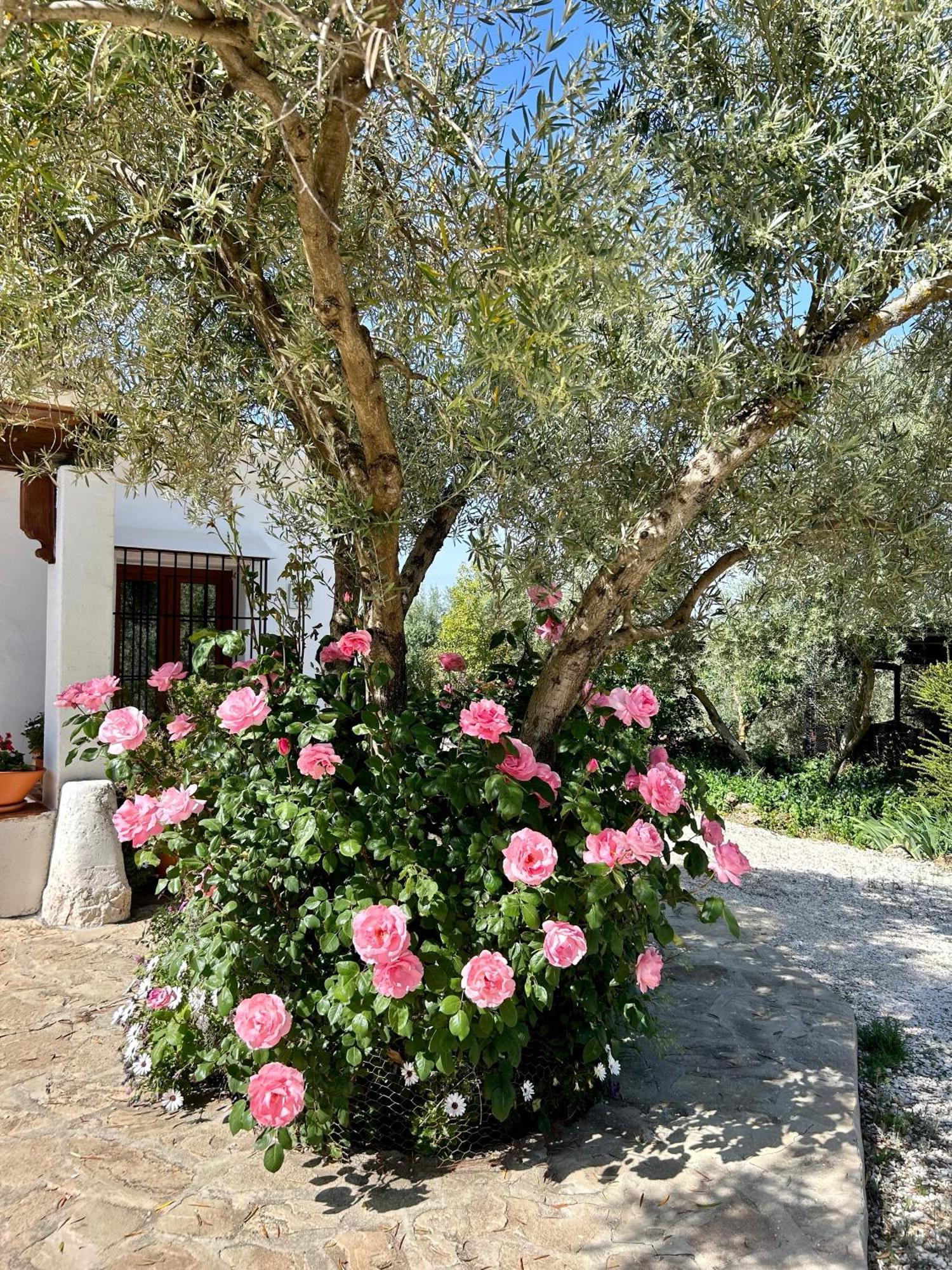 Tradicional Andaluza Con Piscina Privada *