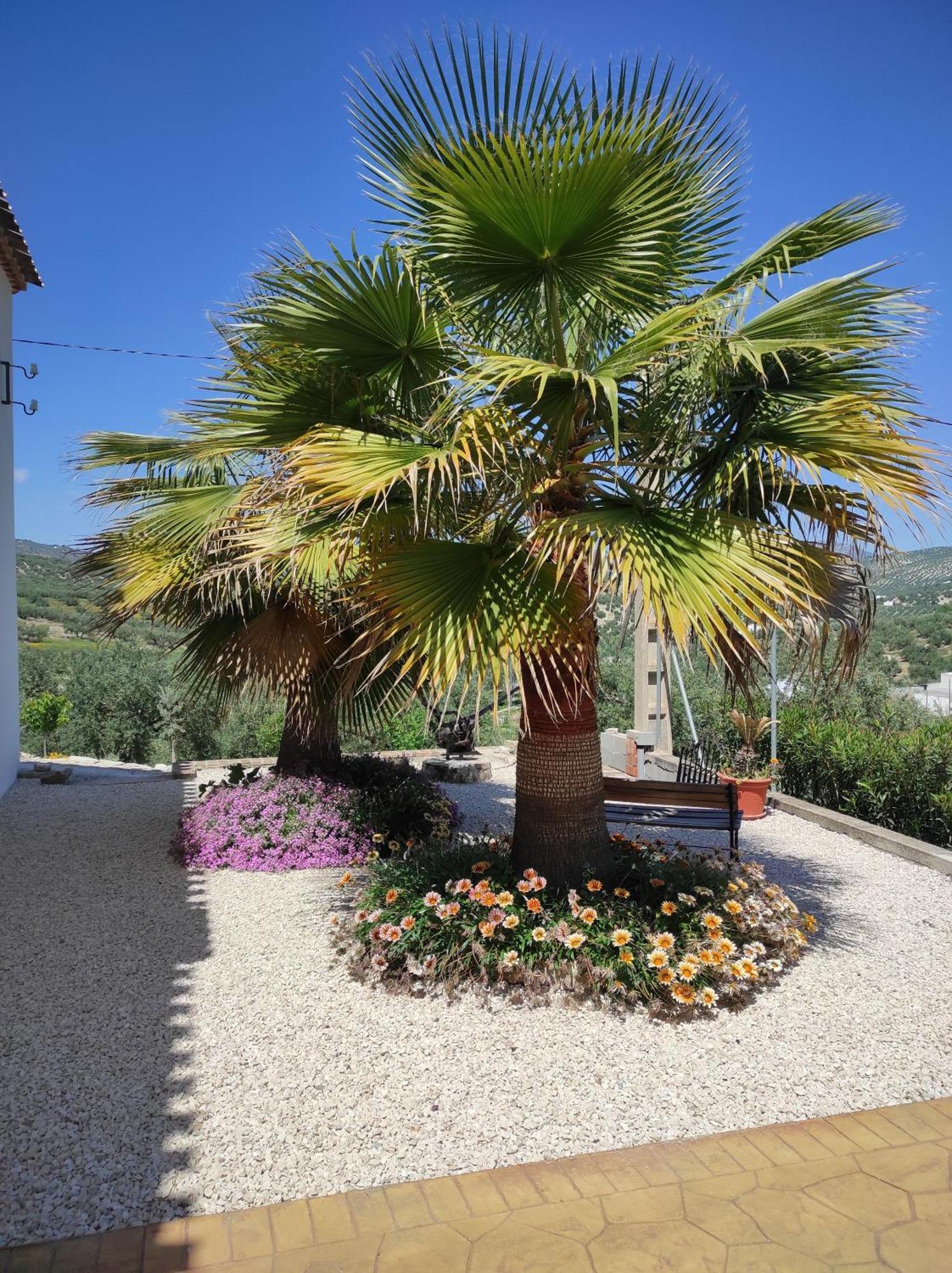 Marrojas, Secluded Tudor Country Apartamento