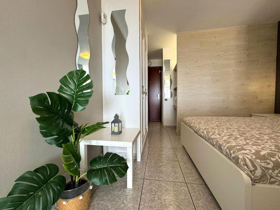 Palm Garden Apartment