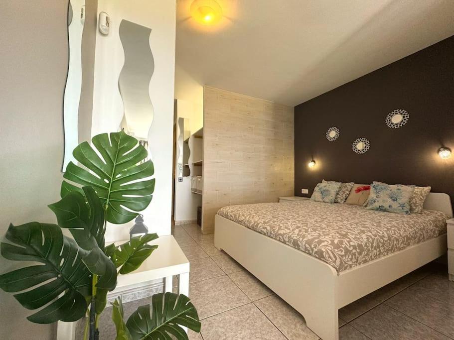 Palm Garden Apartment Morro Jable (Fuerteventura)