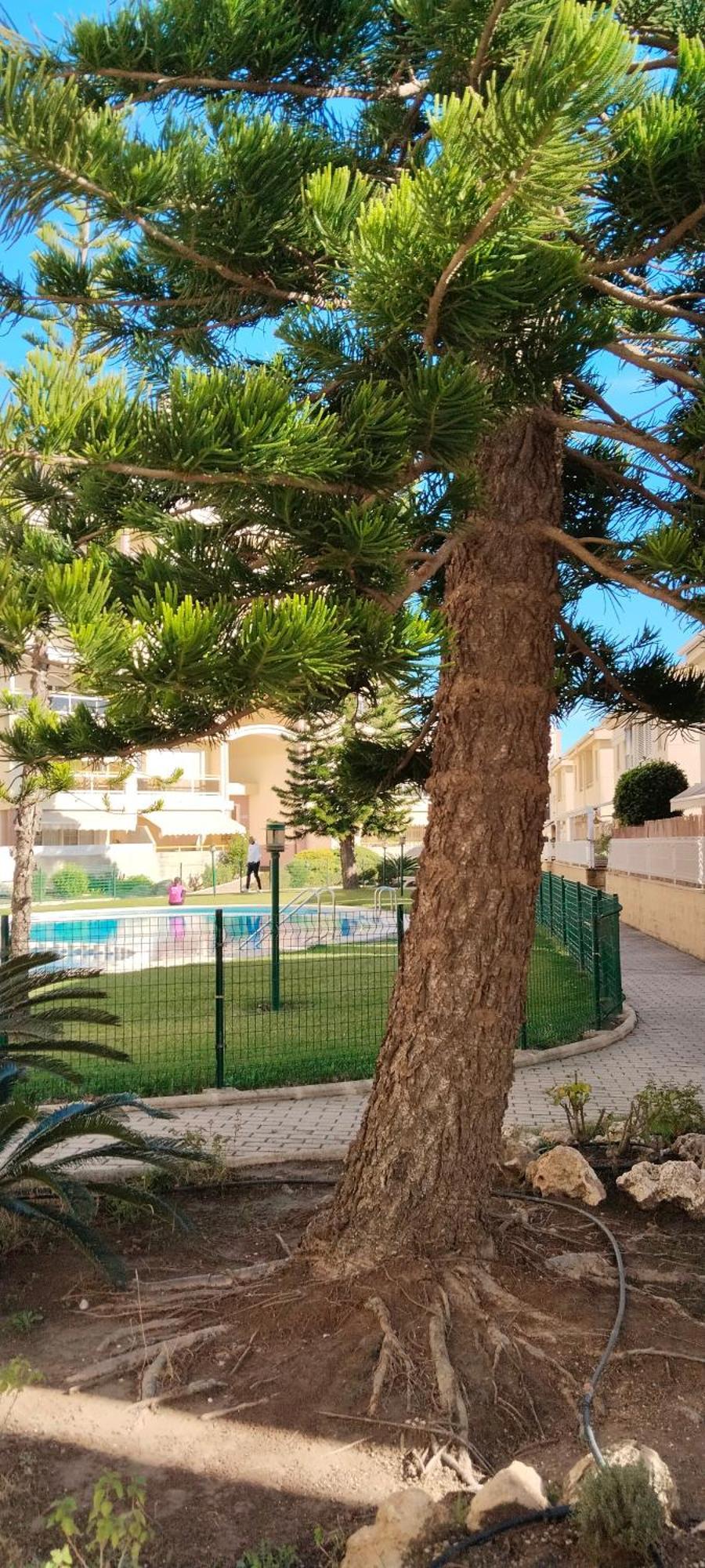 Playa Gandia Al Moli Santamaria Apartment